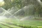 Tugrahlandscaping-water-management-and-drainage-17.jpg; ?>
