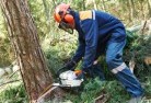Tugrahtree-cutting-services-21.jpg; ?>